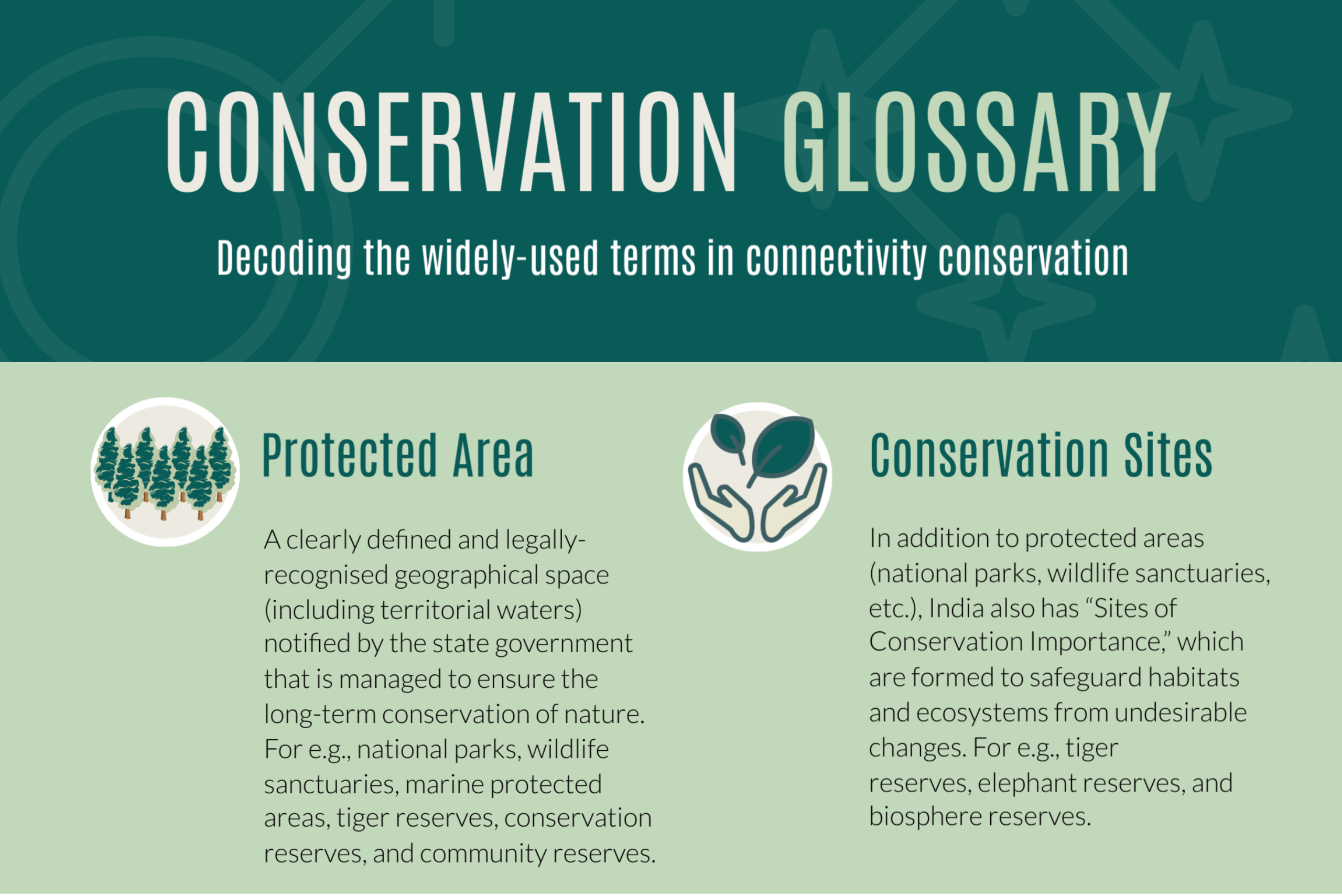 A Glossary of Conservation Terms