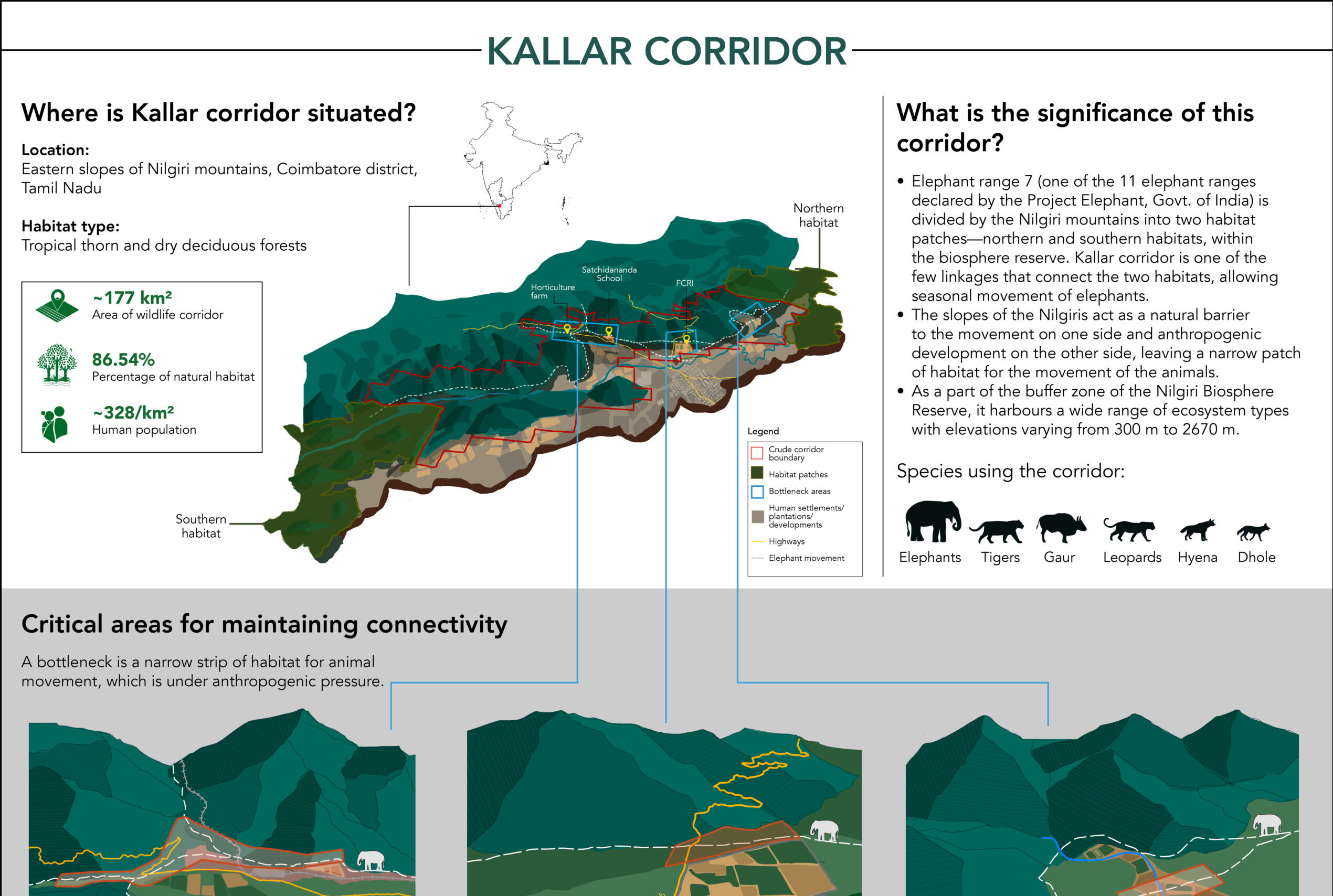 The Kallar Corridor