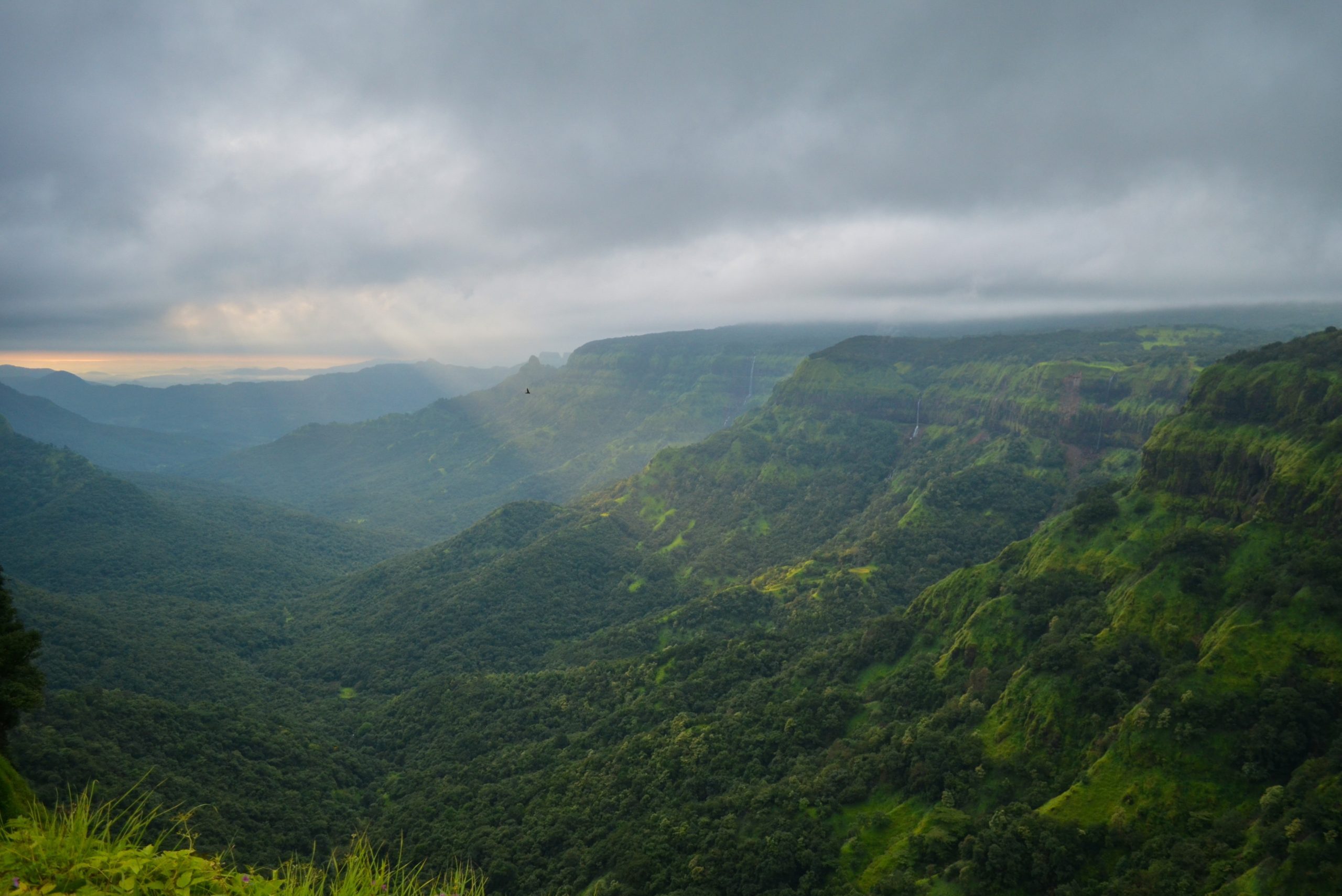 Wildlife Corridors and India’s National Wildlife Action Plan: Current Status and Key Highlights